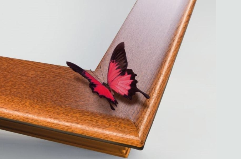 a butterfly sitting on the edge of a brown wood-looking PVC window/door frame from GRAF SYNERGY